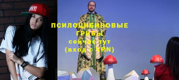 соль ск Абаза