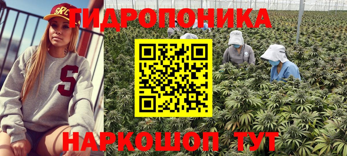 Шишки марихуана THC 21%  Марихуана SATIVA & INDICA  Шишки марихуана семена  Аксай  Вход с VPN 
